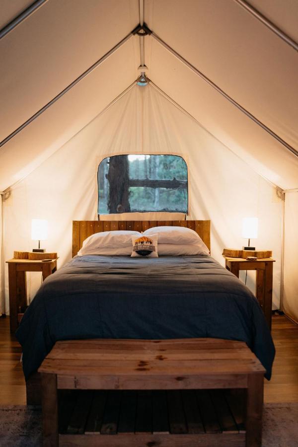 Treehouse Cozy Glamping Site Hotel Branson Kültér fotó